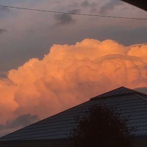 Meet your Posher, Delaney